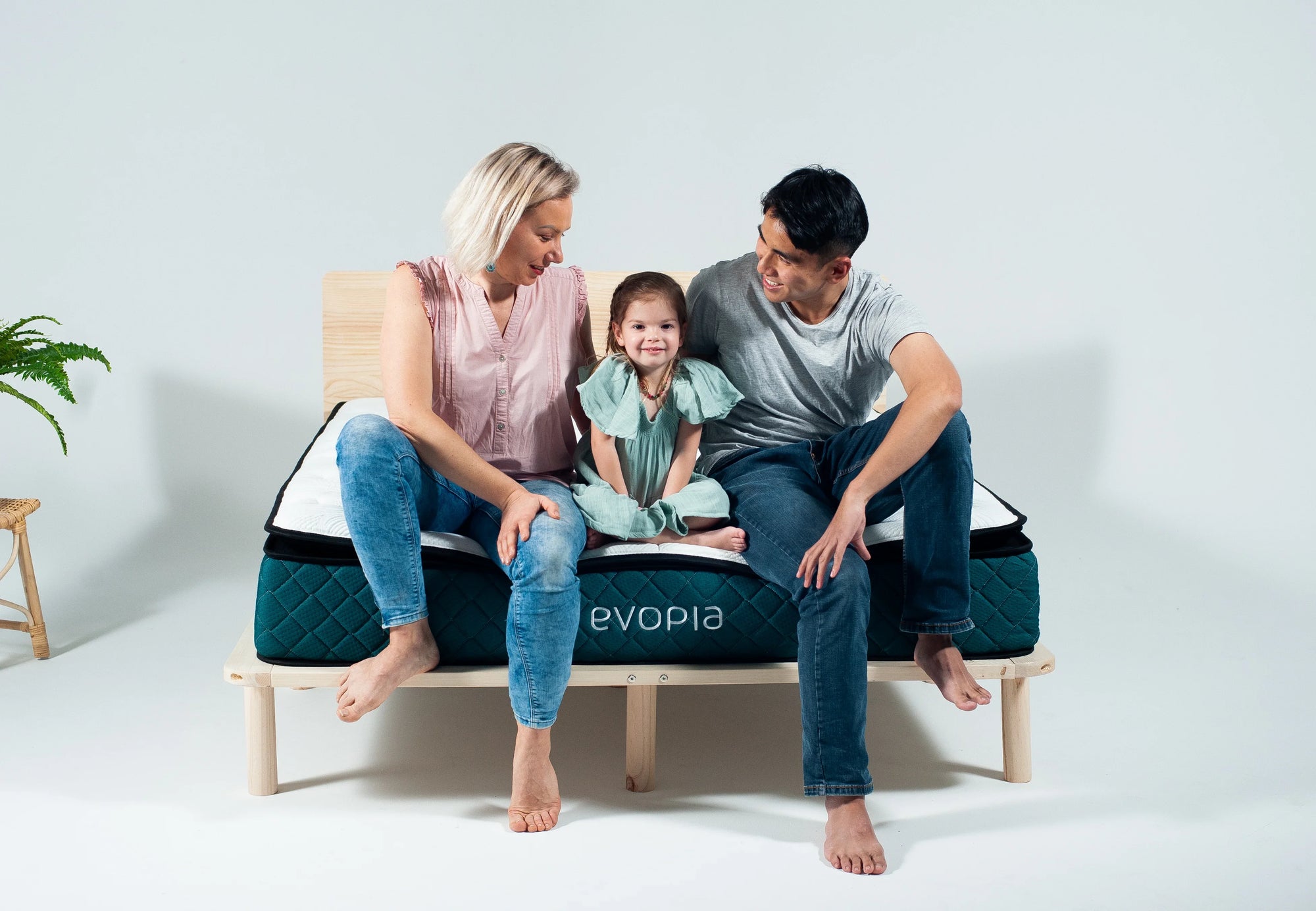Evopia Firm Hybrid Mattress