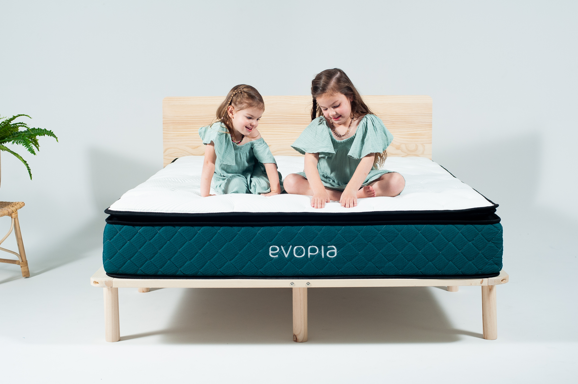 evopia plush hybrid mattress
