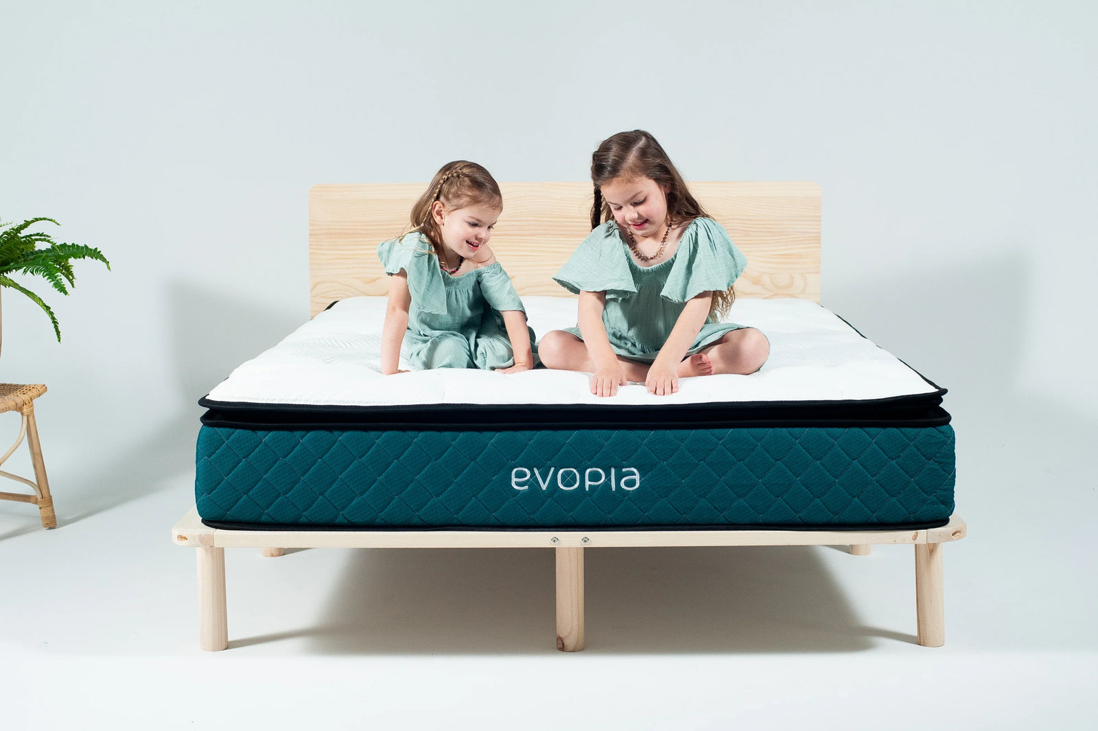 evopia plush hybrid mattress